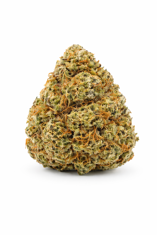 ORANGE BUD