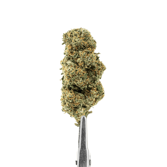 Fleurs de CBD Cali Grape – Indoor